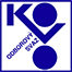 Primary Raster logo